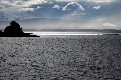 Juneau and Whale watching