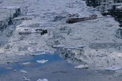 Glacier Bay