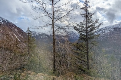 Skagway - train ride and gold panning