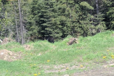 Rocky Mountaineer