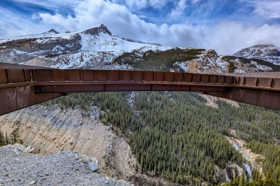 Jasper National Park Icefield