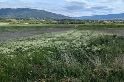 On route to Kelowna, Swan Lake Nature Reserve