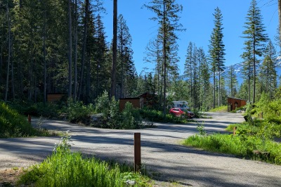 Revelstoke Campsite