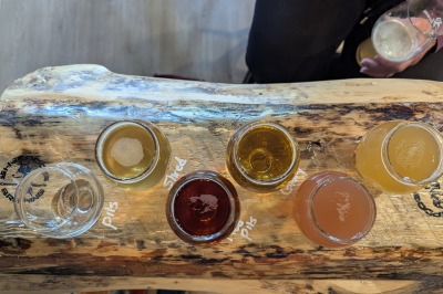 Sheepdog  Brewing