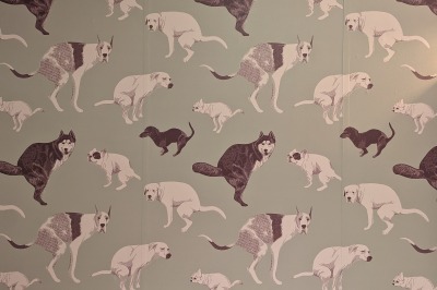 Sheepdog  Brewing