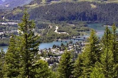 Revelstoke Snowforest