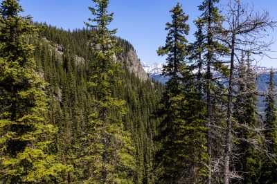 Lake Louise