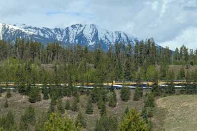 Canoe River Campsite