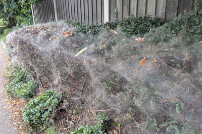 Roadside on Unthank Road