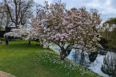 Coton Manor