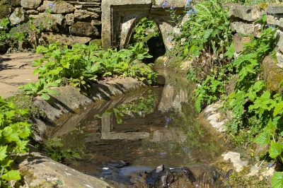 Coton Manor
