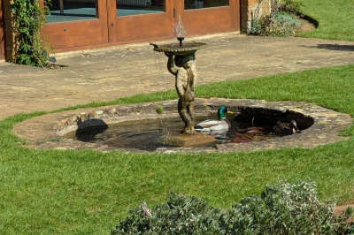 Coton Manor