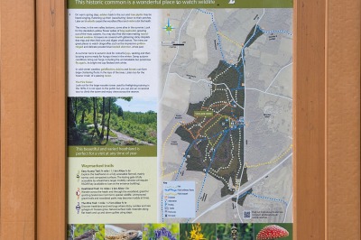 Snelsmore Common Country Park