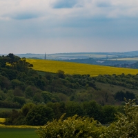 Figsbury ring, Salisbury cathedral in the distance