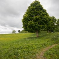 Old Sarum