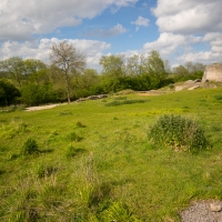 Clarendon Palace Ruins