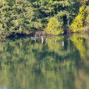 College Lake