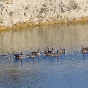 College Lake