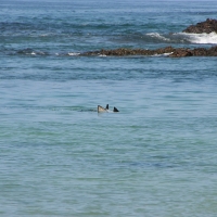 Ecuador, Galapagos San Cristobal Island, Cerro Brujo