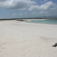 Ecuador, Galapagos San Cristobal Island, Cerro Brujo