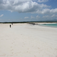 Ecuador, Galapagos San Cristobal Island, Cerro Brujo