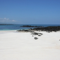 Ecuador, Galapagos San Cristobal Island, Cerro Brujo