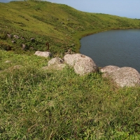 Ecuador, Galapagos San Cristobal Island, Highlands