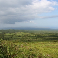 Ecuador, Galapagos San Cristobal Island, Highlands