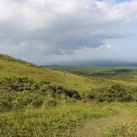 Ecuador, Galapagos San Cristobal Island, Highlands