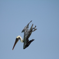 Ecuador, Galapagos San Cristobal Island, Cerro Brujo