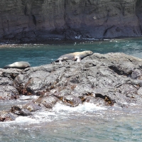 Ecuador, Galapagos San Cristobal Island, Cerro Brujo