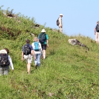 Ecuador, Galapagos San Cristobal Island, Highlands