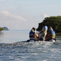 Ecuador, Galapagos, Santa Cruz Mangrove