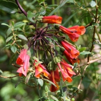 Ecuador, Otavalo