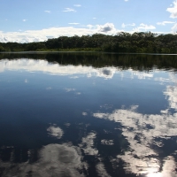 Ecuador, Amazon