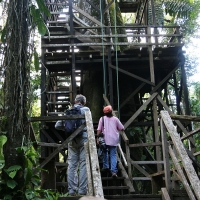 Ecuador, Amazon