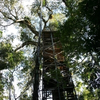 Ecuador, Amazon