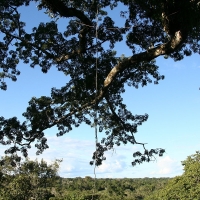 Ecuador, Amazon