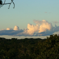 Ecuador, Amazon