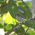 Ecuador, Amazon