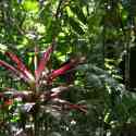 Ecuador, Amazon