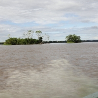 Ecuador,Amazon