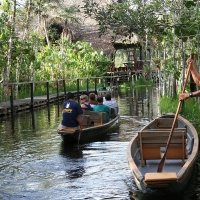 Ecuador,Amazon