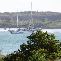 Ecuador, Galapagos, Santa Cruz Island