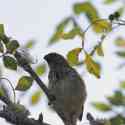 Ecuador, Galapagos, Santa Cruz Island