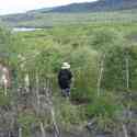 Ecuador, Galapagos, Santa Fe Island