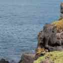 Ecuador, Galapagos, South Plaza Island.