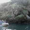 Ecuador, Galapagos. Floreana Island