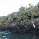 Ecuador, Galapagos. Floreana Island