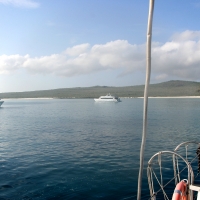 Ecuador, Galapagos. Espanola Island, Gardner Bay